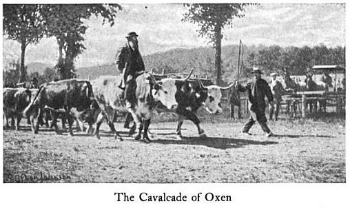Cummington Fair Old PIctures