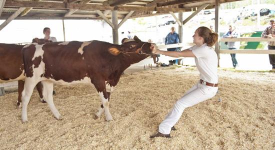 Cummington Fair
