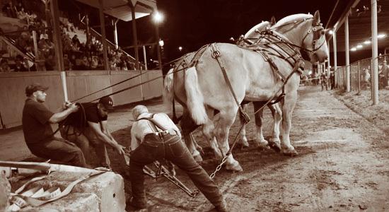 Cummington Fair